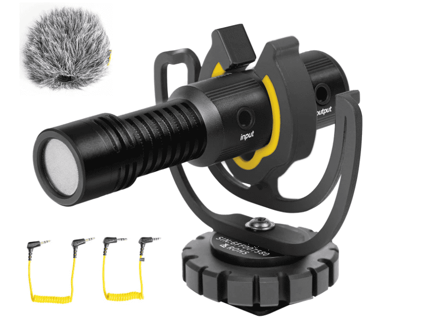 Deity V-Mic D4